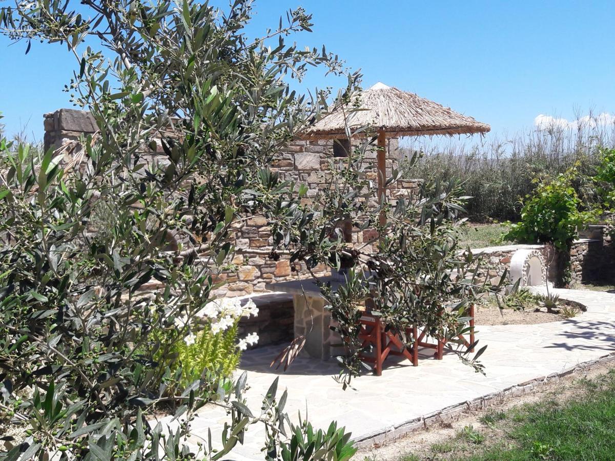 Elpidas Studios Agia Anna  Exterior photo