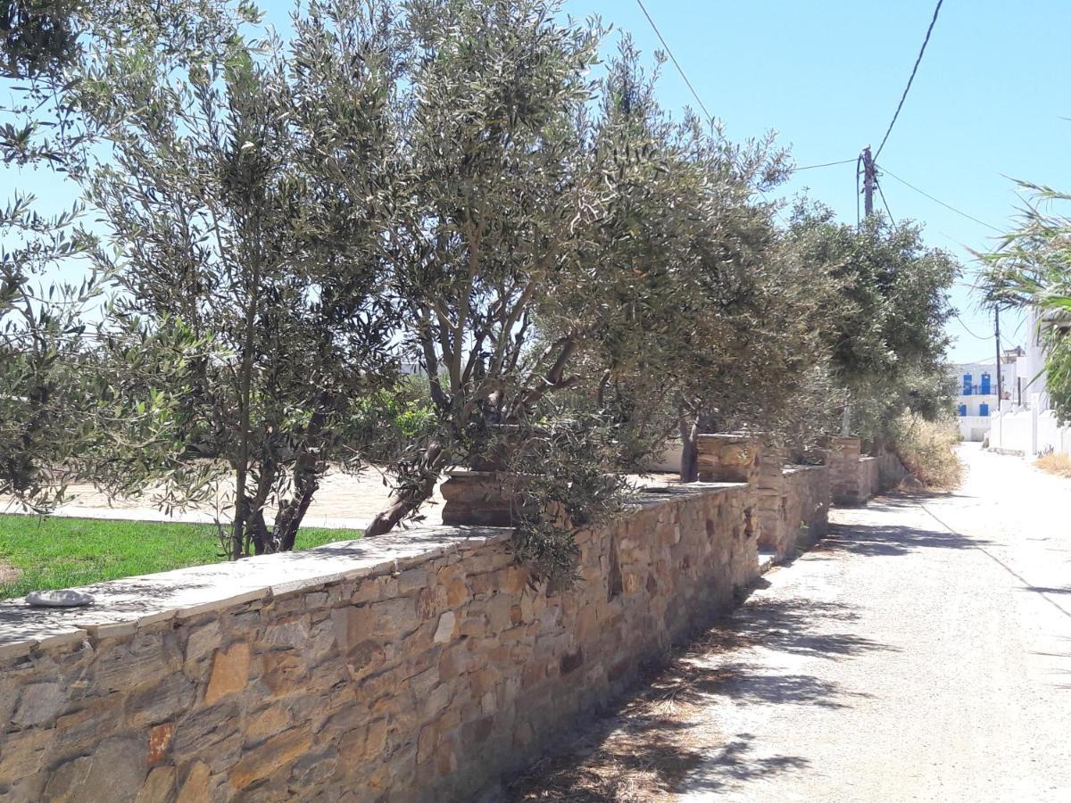Elpidas Studios Agia Anna  Exterior photo