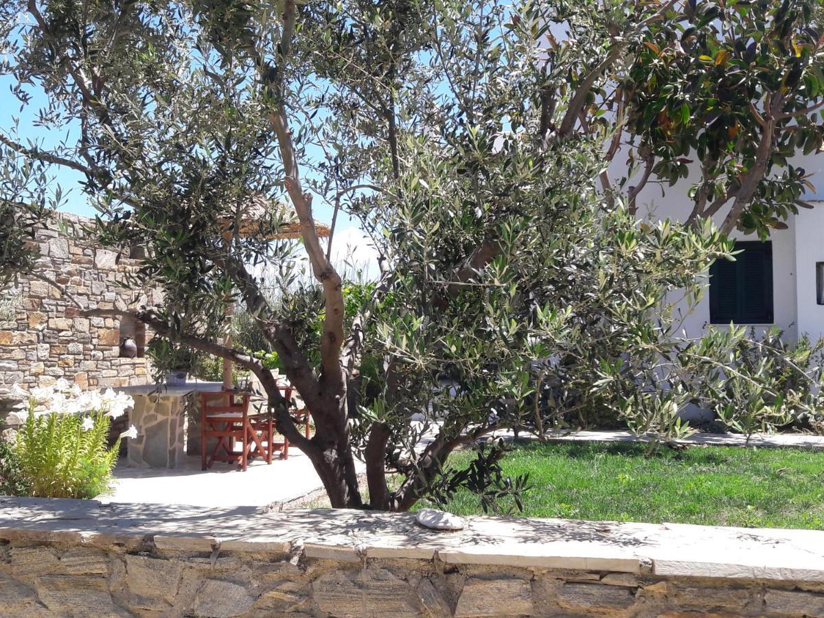Elpidas Studios Agia Anna  Exterior photo